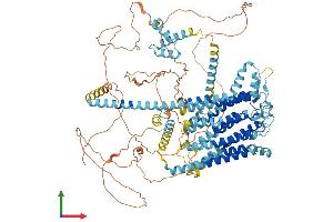 AlphaFold protein structure predicition of Human Recombinant TMC5 Protein, UniprotID Q6UXY8
