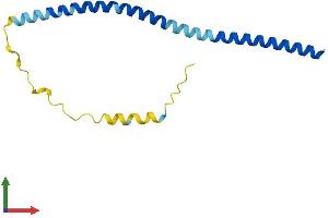 Protein Structure (PS) image for Vesicle-Associated Membrane Protein 4 (VAMP4) (AA 1-141) protein (His tag) (ABIN7545013)