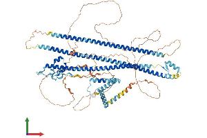 AlphaFold protein structure predicition of Human Recombinant DZIP1 Protein, UniprotID Q86YF9