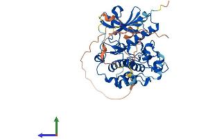 Protein Structure (PS) image for STE20-Related Kinase Adaptor alpha (STRADA) (AA 1-431) protein (His tag) (ABIN7546375)