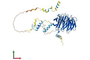 Protein Structure (PS) image for Cell Division Cycle 20 Homolog (S. Cerevisiae) (CDC20) (AA 1-499) protein (His tag) (ABIN7565098)