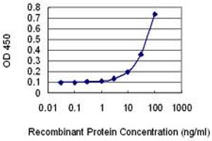 Detection limit for recombinant GST tagged AHNAK2 is 1 ng/ml as a capture antibody. (AHNAK2 抗体  (AA 5527-5636))