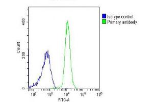 Overlay histogram showing K562 cells stained with (ABIN6242964 and ABIN6578647) (green line). (PIGC 抗体  (AA 264-294))