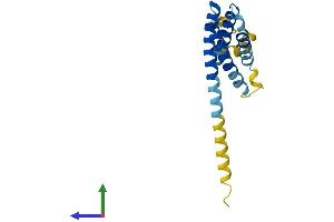 Protein Structure (PS) image for CKLF-Like MARVEL Transmembrane Domain Containing 3 (CMTM3) (AA 1-182) protein (His tag) (ABIN7546494)