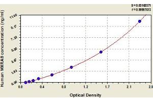 Typical Standard Curve (MXRA8 ELISA 试剂盒)