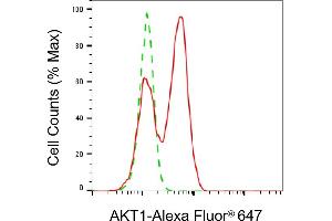 Flow cytometric analysis of AKT1 expression in C2C12 cells using AKT1 antibody (ABIN7800780), 1:2,000). (AKT1 抗体)