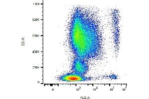 Flow cytometry analysis (surface staining) of CD193 in human peripheral blood with anti-human CD193 (5E8) purified, GAM-APC. (CCR3 抗体)