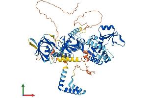 AlphaFold protein structure predicition of Human Recombinant PALS1 Protein, UniprotID Q8N3R9