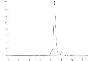 Size-exclusion chromatography-High Pressure Liquid Chromatography (SEC-HPLC) image for V-Set Domain Containing T Cell Activation Inhibitor 1 (VTCN1) (AA 29-258) protein (His tag) (ABIN7273949)