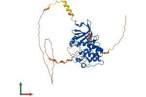Protein Structure (PS) image for Aurora Kinase A (AURKA) (AA 1-403) protein (His tag) (ABIN7552496)