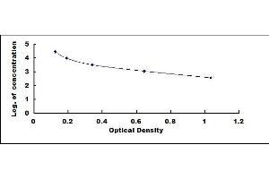 Typical standard curve (AMH ELISA 试剂盒)