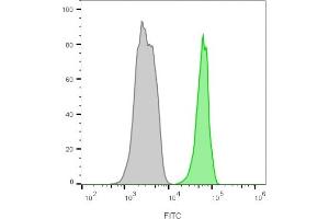 Flow cytometry analysis of lymphocyte gated PBMCs unstained (gray) or stained with CF488A-labeled CD45 monoclonal antibody (135-4C5) (green). (CD45 抗体)