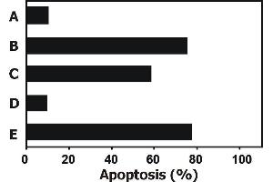 Apoptosis Detection (AD) image for anti-Tumor Necrosis Factor (Ligand) Superfamily, Member 10 (TNFSF10) (AA 95-281) antibody (PE) (ABIN1690743)