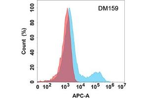 Flow cytometry analysis with Anti-NTB-A (DM159) on Expi293 cells transfected with human NTB-A (Blue histogram) or Expi293 transfected with irrelevant protein (Red histogram). (SLAMF6 抗体  (AA 22-226))