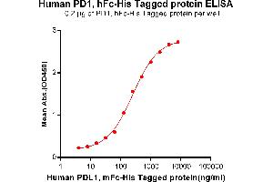 ELISA image for Programmed Cell Death 1 (PDCD1) (AA 25-167) protein (Fc-His Tag) (ABIN6961149)