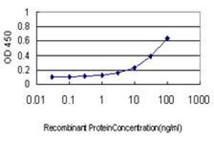 Detection limit for recombinant GST tagged ARL14 is approximately 0. (ARL14 抗体  (AA 1-192))