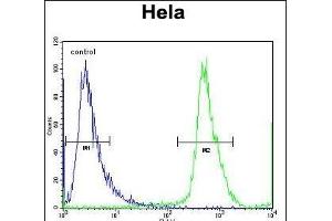 NUP35 Antibody (C-term) (ABIN656791 and ABIN2846010) flow cytometric analysis of Hela cells (right histogram) compared to a negative control cell (left histogram). (NUP35 抗体  (C-Term))