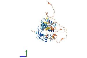 Protein Structure (PS) image for Zinc Finger Protein 213 (ZNF213) (AA 1-459) protein (His tag) (ABIN7545450)