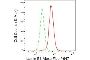 Flow cytometric analysis of Lamin B1 expression in C2C12 cells using Lamin B1 antibody (ABIN7799232), 1:2,000).