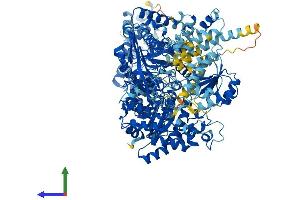 AlphaFold protein structure predicition of Mouse Recombinant Mtr Protein, UniprotID A6H5Y3
