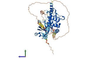 Protein Structure (PS) image for serine/threonine Kinase 4 (STK4) (AA 1-487) protein (His tag) (ABIN7555653)