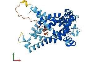 AlphaFold protein structure predicition of Human Recombinant SLC25A16 Protein, UniprotID P16260