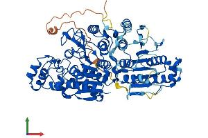 Protein Structure (PS) image for Histone Deacetylase 10 (HDAC10) (AA 1-669) protein (His tag) (ABIN7554065)
