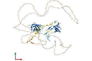 Protein Structure (PS) image for Coilin (COIL) (AA 1-576) protein (His tag) (ABIN7546707)