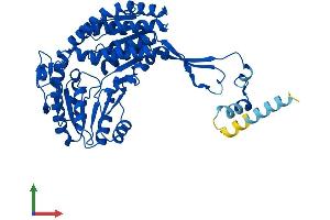 Protein Structure (PS) image for Aldehyde Dehydrogenase 3 Family, Member A2 (ALDH3A2) (AA 1-484) protein (His tag) (ABIN7563288)