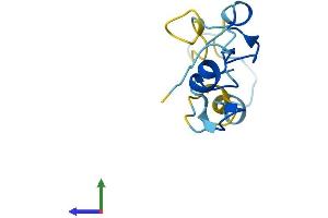 Protein Structure (PS) image for Cysteine-Rich PDZ-Binding Protein (CRIPT) (AA 1-101) protein (His tag) (ABIN7562536)