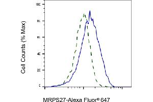 Flow cytometric analysis of MRPS27 expression in HT- cells using MRPS27 antibody (ABIN7799435), 1:2,000). (MRPS27 抗体)