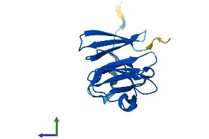 AlphaFold protein structure predicition of Mouse Recombinant Nhlrc4 Protein, UniprotID Q3UP44
