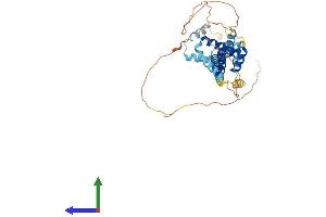 Protein Structure (PS) image for Pre-B-Cell Leukemia Homeobox Protein 2 (PBX2) (AA 1-430) protein (His tag) (ABIN7550578)