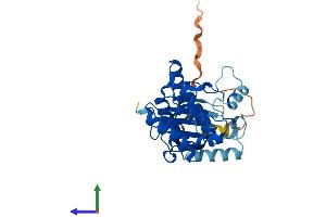 Protein Structure (PS) image for NEK7 (NEK7) (AA 1-302) protein (His tag) (ABIN7561458)