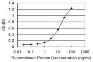 ELISA image for anti-Prostaglandin I2 (Prostacyclin) Synthase (PTGIS) (AA 391-500) antibody (ABIN519453)