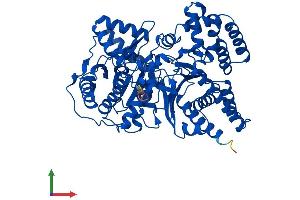 Protein Structure (PS) image for Carnitine O-Octanoyltransferase (CROT) (AA 1-612) protein (His tag) (ABIN7550341)