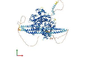 Protein Structure (PS) image for phospholipase C beta 2 (PLCb2) (AA 1-1185) protein (His tag) (ABIN7554978)