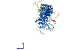 AlphaFold protein structure predicition of Mouse Recombinant Tti1 Protein, UniprotID Q91V83