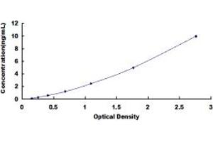 Typical standard curve (SSH3 ELISA 试剂盒)