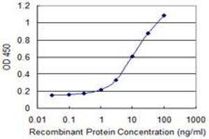 Detection limit for recombinant GST tagged CRYBA4 is 0. (CRYbA4 抗体  (AA 96-195))