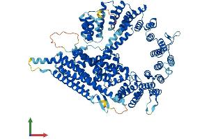 Protein Structure (PS) image for N(alpha)-Acetyltransferase 25, NatB Auxiliary Subunit (NAA25) (AA 1-972) protein (His tag) (ABIN7564449)