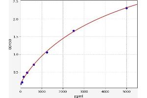 Slc30a3 ELISA 试剂盒