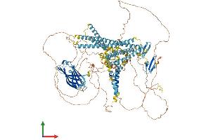 AlphaFold protein structure predicition of Human Recombinant WWC1 Protein, UniprotID Q8IX03