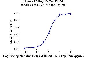 ELISA image for Folate Hydrolase (Prostate-Specific Membrane Antigen) 1 (FOLH1) (AA 44-750) protein (Fc Tag) (ABIN7275493)