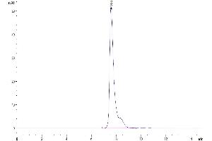 Size-exclusion chromatography-High Pressure Liquid Chromatography (SEC-HPLC) image for Signaling Lymphocytic Activation Molecule Family Member 1 (SLAMF1) (AA 21-237) protein (His tag) (ABIN7275619)