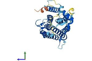 Protein Structure (PS) image for Steroid 5 alpha-Reductase 3 (SRD5A3) (AA 1-318) protein (His tag) (ABIN7550843)