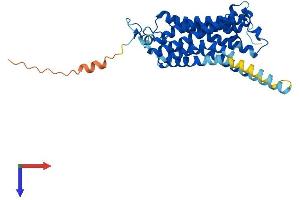 AlphaFold protein structure predicition of Mouse Recombinant Taar7d Protein, UniprotID Q5QD10 (Taar7d Protein (AA 1-358) (His tag))