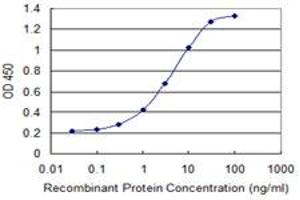 ELISA image for anti-Catenin (Cadherin-Associated Protein), beta 1, 88kDa (CTNNB1) (AA 682-781) antibody (ABIN514758)