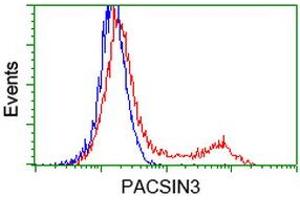 Image no. 2 for anti-Protein Kinase C and Casein Kinase Substrate in Neurons 3 (PACSIN3) antibody (ABIN1500007) (PACSIN3 抗体)