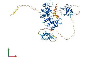 Protein Structure (PS) image for CAP-GLY Domain Containing Linker Protein 3 (CLIP3) (AA 1-547) protein (His tag) (ABIN7553399)
